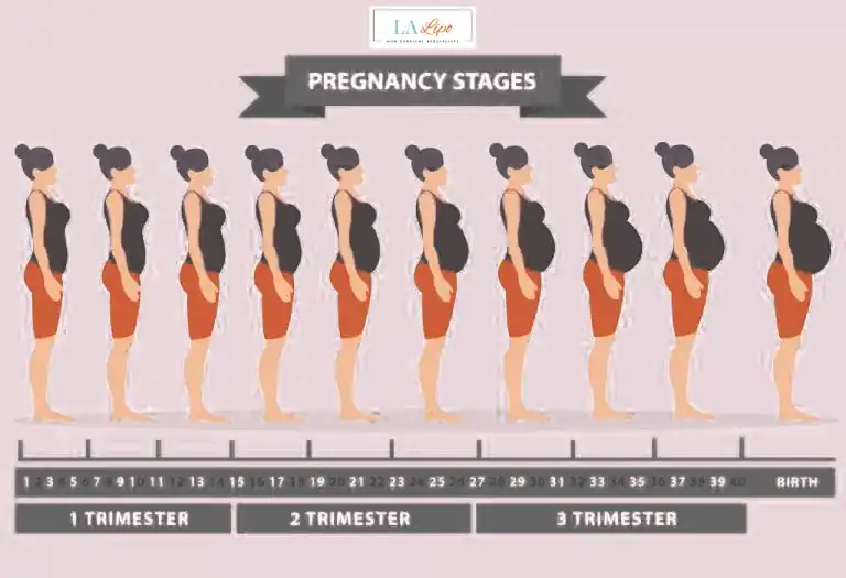 First Trimester (Weeks 1–12): Early Changes You Might Not Notice Tolworth